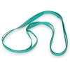 Plasticplace 26″ Rubber Bands for 64-65 Gallon Trash Cans, Green, 5 Count – Heavy Duty, Durable, Secure Trash Bags, Easy to Use, Made in the USA Elastic Bands Garbage Trashbags Contractor Commercial(30″)